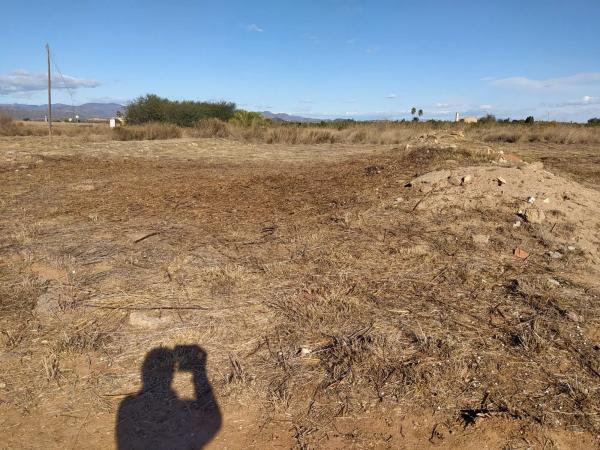 Terreno en Polígono 29 parcela 113, 113