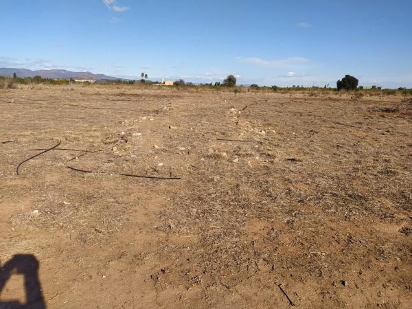 Terreno en Polígono 29 parcela 113, 113