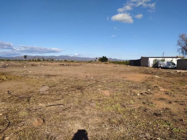 Terreno en Polígono 29 parcela 113, 113