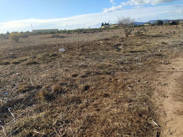 Terreno en Polígono 29 parcela 113, 113