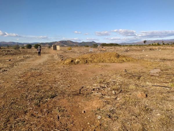 Terreno en Polígono 29 parcela 113, 113