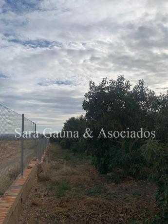 Terreno en camino de Petrés