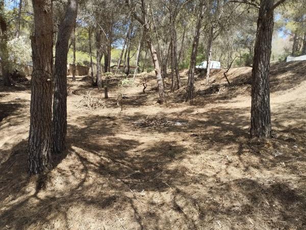 Terreno en Partida Vidriera