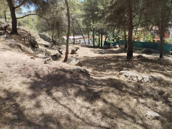 Terreno en Partida Vidriera