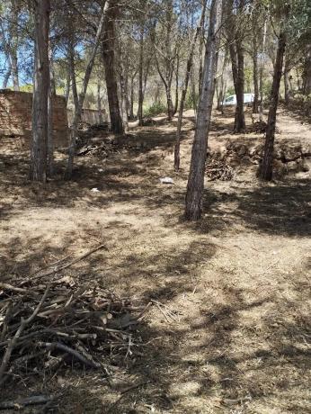 Terreno en Partida Vidriera