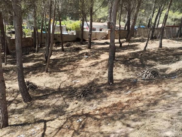 Terreno en Partida Vidriera