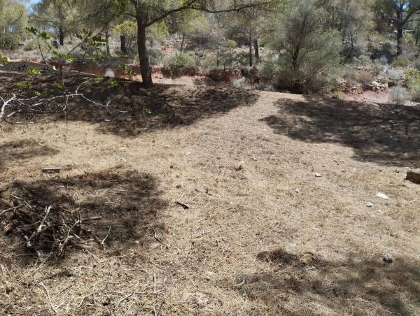 Terreno en Partida Vidriera