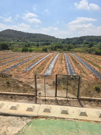 Terreno en calle del Braçal s/n Sn