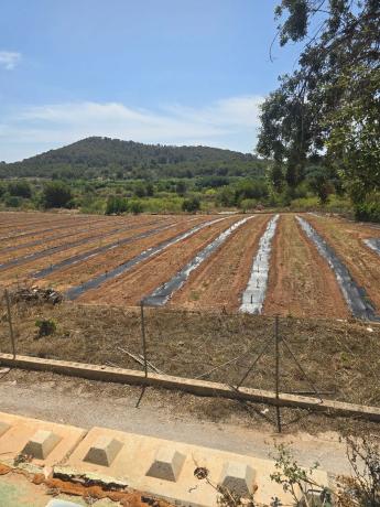 Terreno en calle del Braçal s/n Sn
