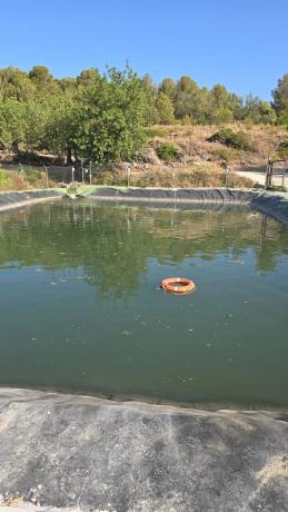 Terreno en calle del Braçal s/n Sn