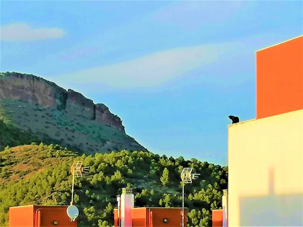 Terreno en calle Vinalesa, 25