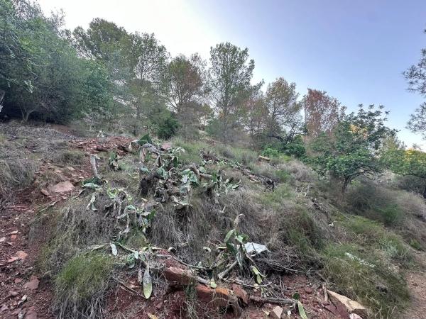 Terreno en calle Mar Caspio s/n