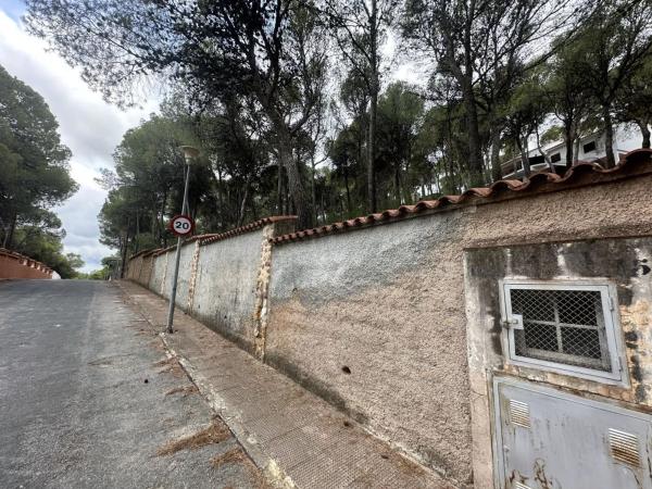 Terreno en Torres-Torres
