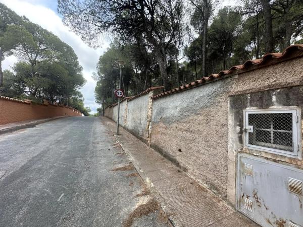 Terreno en Torres-Torres