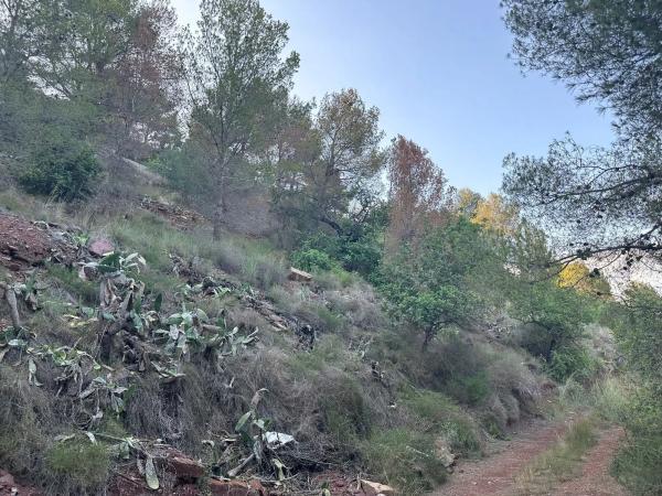 Terreno en calle Mar Caspio s/n