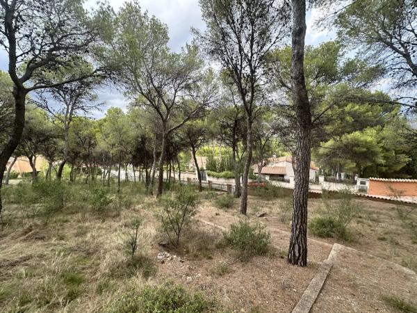 Terreno en Torres-Torres