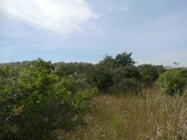 Terreno en Partida Montiver a Sagunto