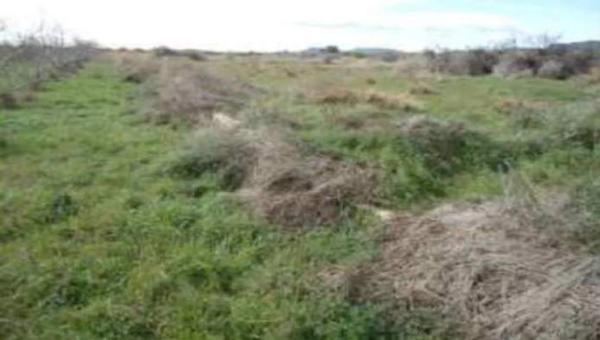 Terreno en calle del Mansegar