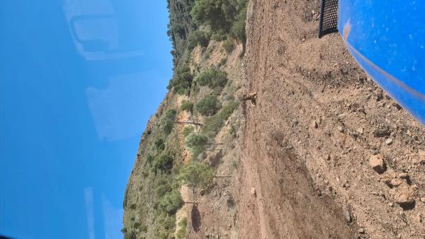 Terreno en carretera Albalat, 10