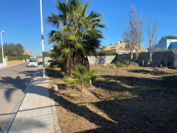 Terreno en calle cerezo, 4