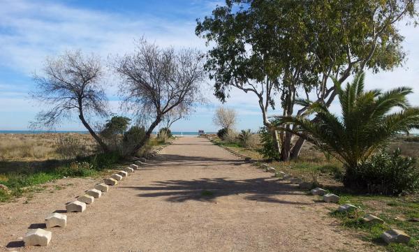 Terreno en calle cerezo, 4