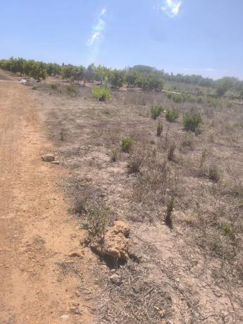 Terreno en Almenara, 46500