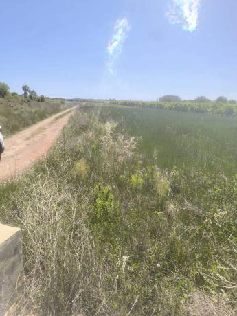 Terreno en Almenara, 46500