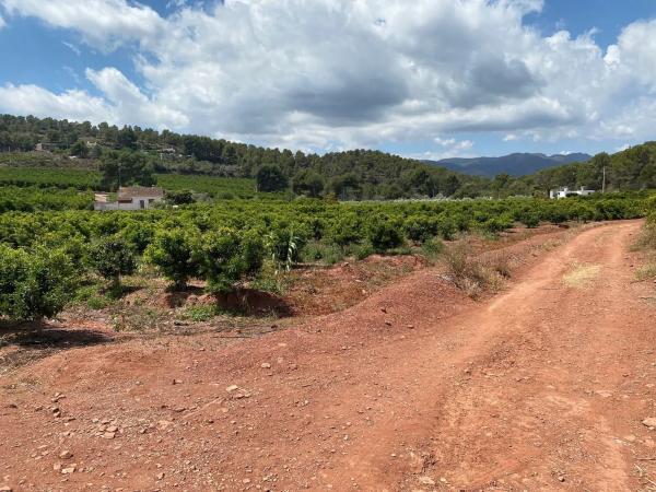 Terreno en calle Xativa