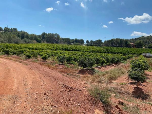 Terreno en calle Xativa