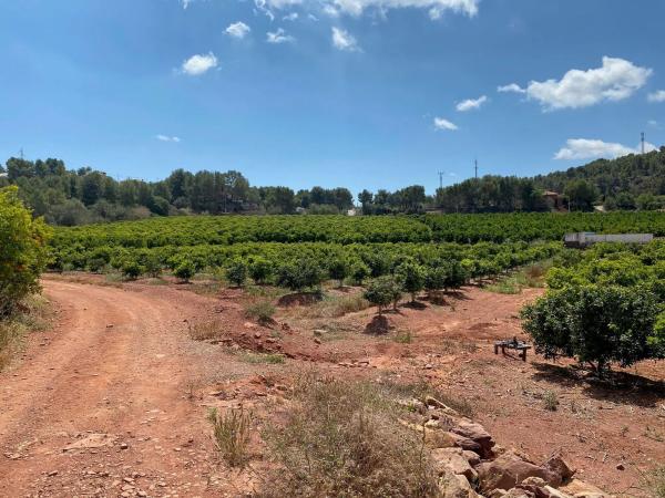 Terreno en calle Xativa