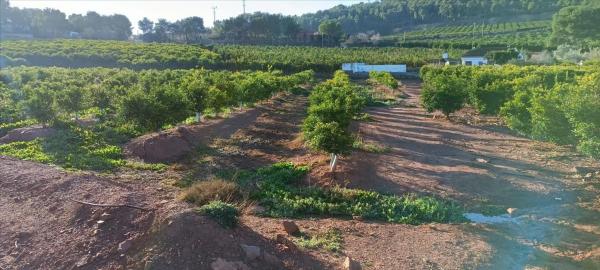 Terreno en calle Xativa