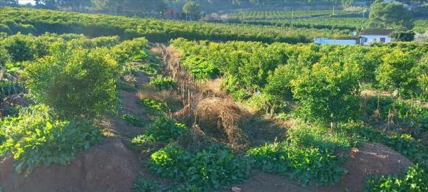 Terreno en calle Xativa