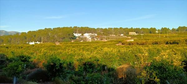 Terreno en calle Xativa