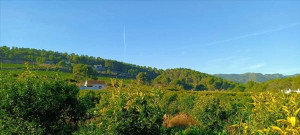 Terreno en calle Xativa