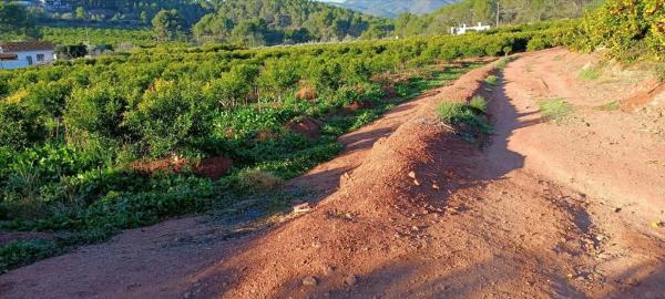 Terreno en calle Xativa