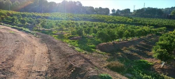 Terreno en calle Xativa