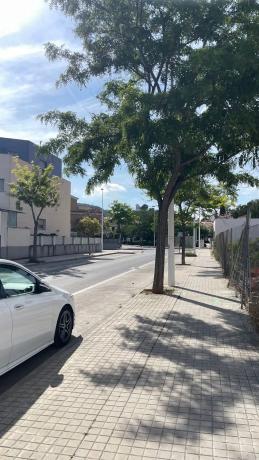 Terreno en calle dels Tres Barrancs, 142