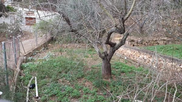 Terreno en calle Xaloc