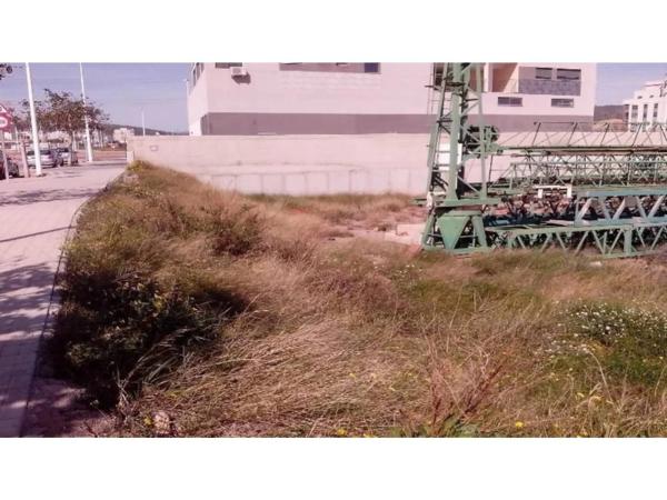 Terreno en avenida del Barraquero