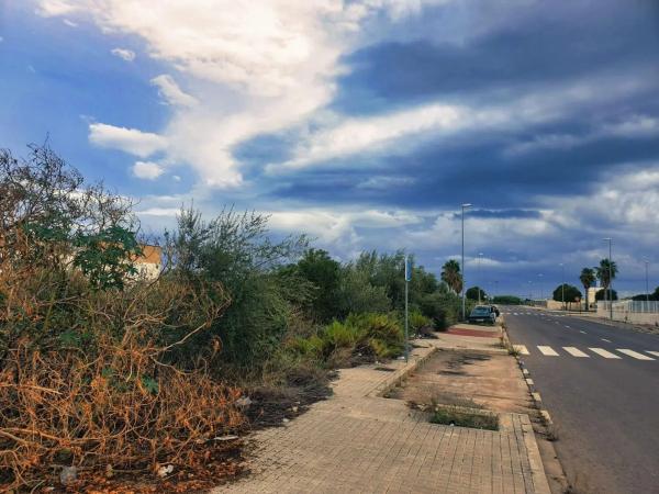 Terreno en Proyecto 10 (ind La Foia)