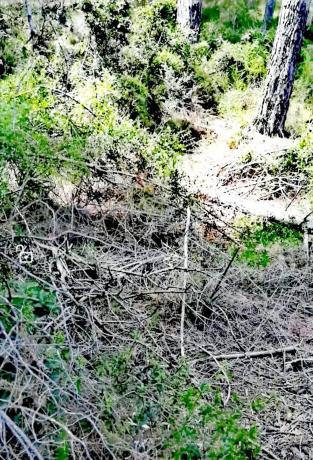 Terreno en Polígono Nº 10, 750