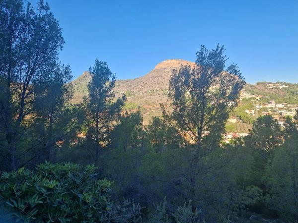 Terreno en avenida Santo Espíritu Pau, 52