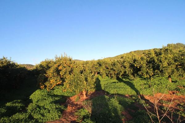 Terreno en plaza Poligono n 3