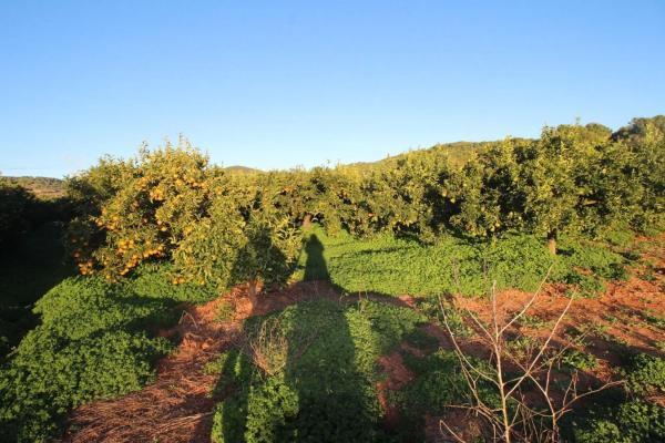 Terreno en plaza Poligono n 3