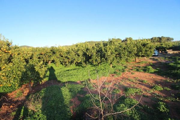 Terreno en plaza Poligono n 3