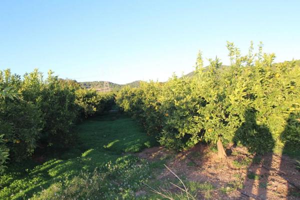 Terreno en plaza Poligono n 3