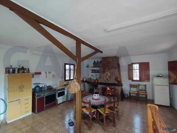 Terreno en Algimia de Alfara