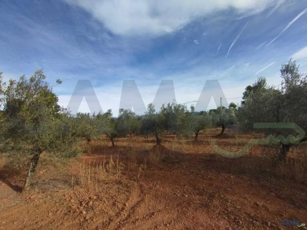 Terreno en Algimia de Alfara