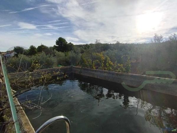 Terreno en Algimia de Alfara