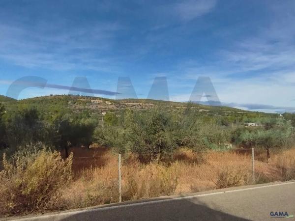 Terreno en Algimia de Alfara